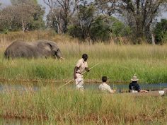 Moremi Crossing, Mokoroausflug im Okavango Delta