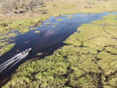 Moremi Crossing, Bootsausflug im Okavango Delta