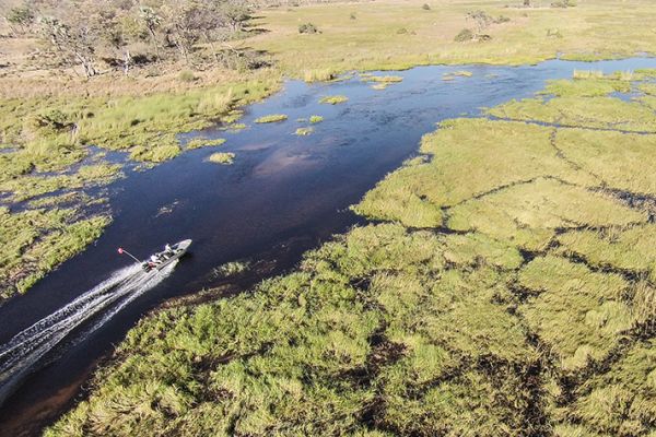 Moremi Crossing