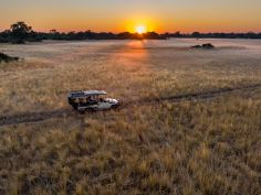 North Island Okavango - Pirschfahrt