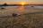 North Island Okavango - Pirschfahrt