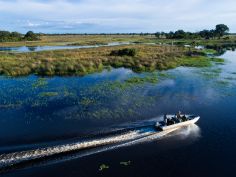 North Island Okavango - Bootsausflug
