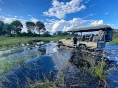 North Island Okavango - Pirschfahrt im offenen Geländefahrzeug
