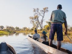 North Island Okavango - Mokoro-Ausflug