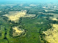 North Island Okavango - Campansicht aus der Luft