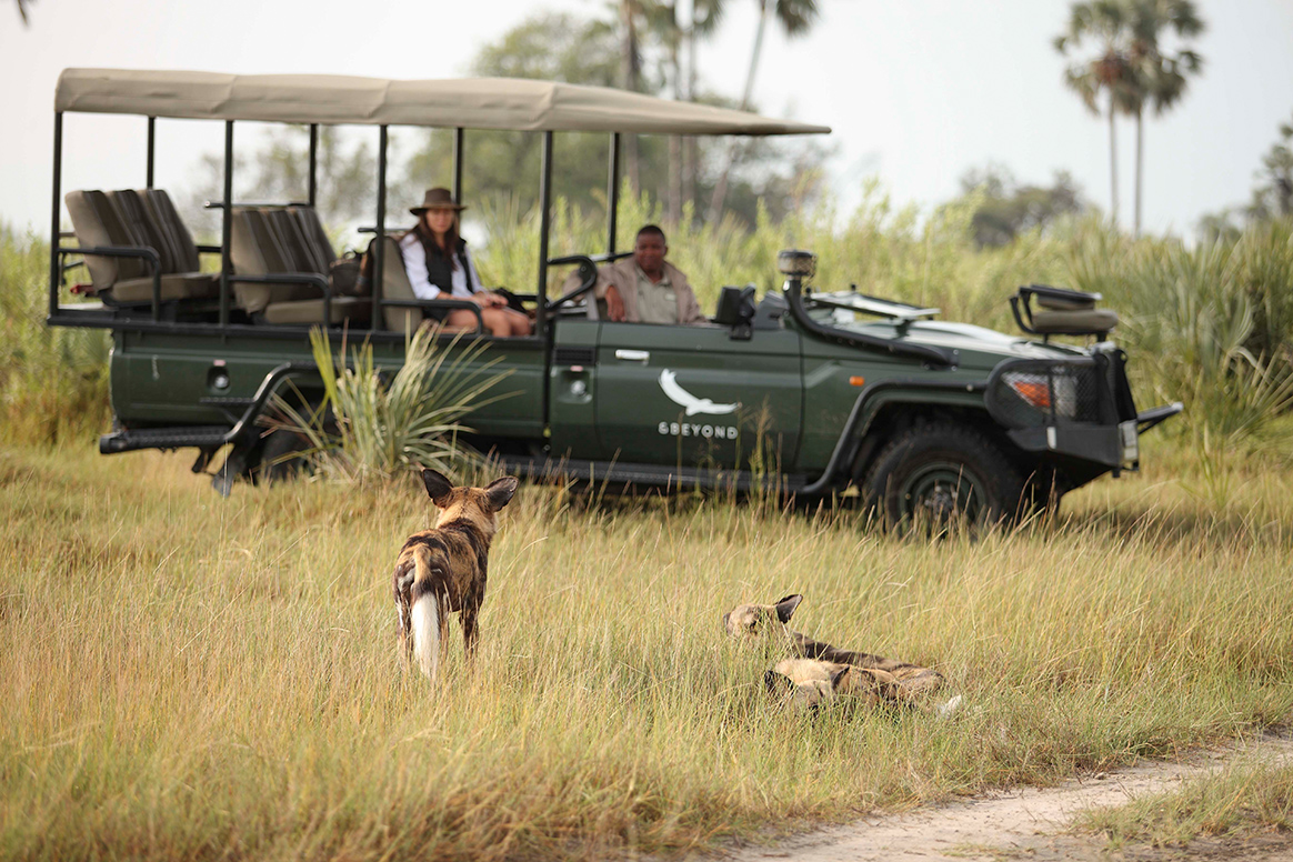 Nxabega Okavango Tented Camp - Game Drive