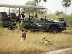 Nxabega Okavango Tented Camp - Game Drive