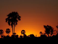 Nxabega Okavango Tented Camp - Sonnenuntergang
