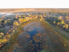 PomPom Camp, mitten im Okavango Delta