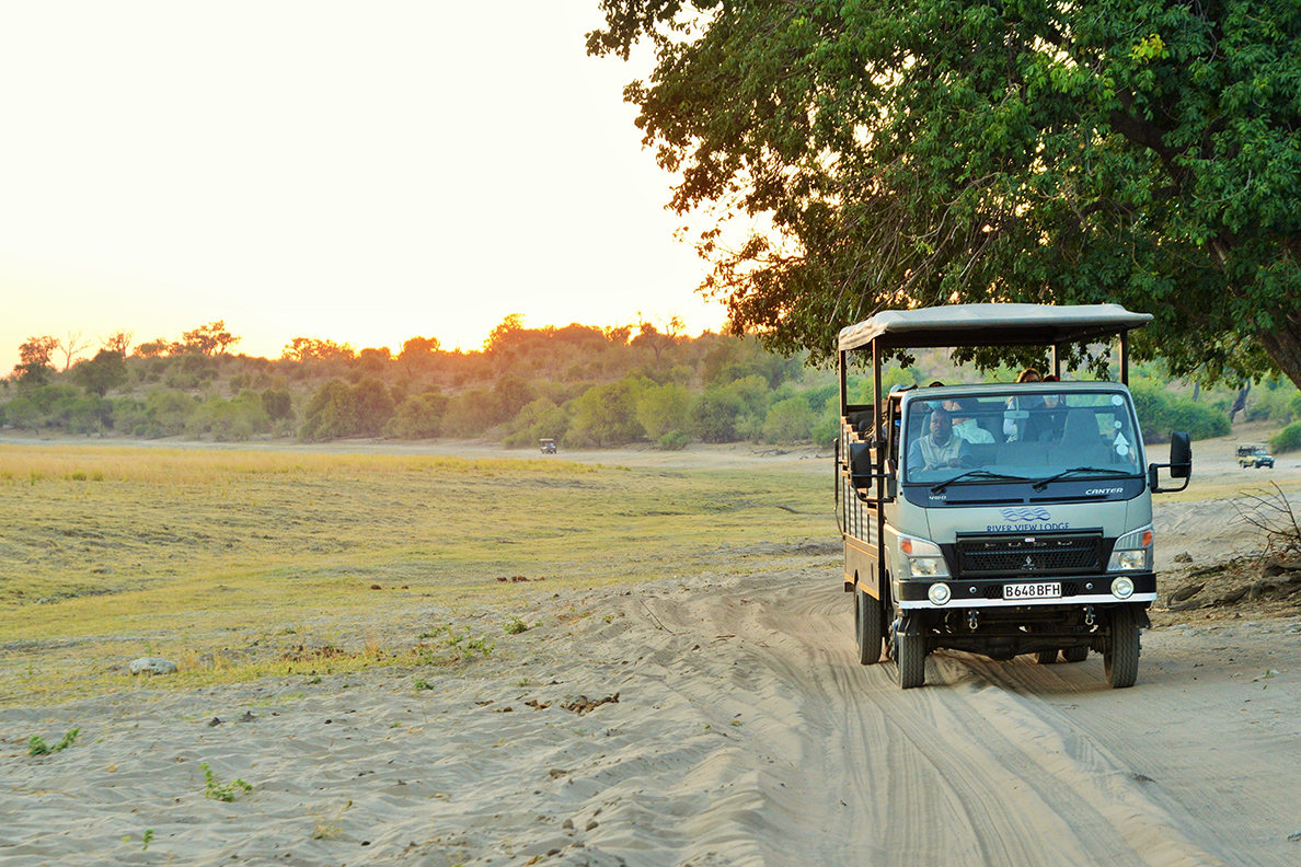 River View Lodge - Game Drive