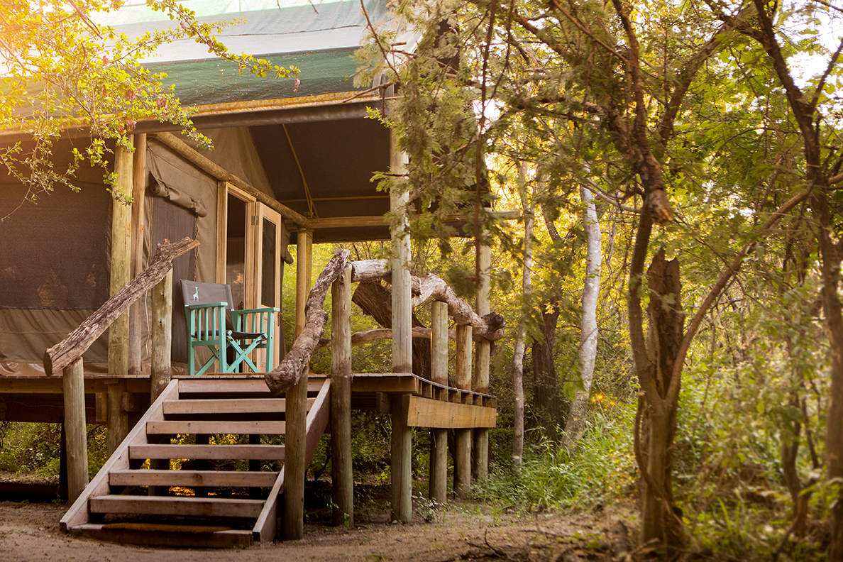Thamo Telele Lodge - Zelt-Zimmer