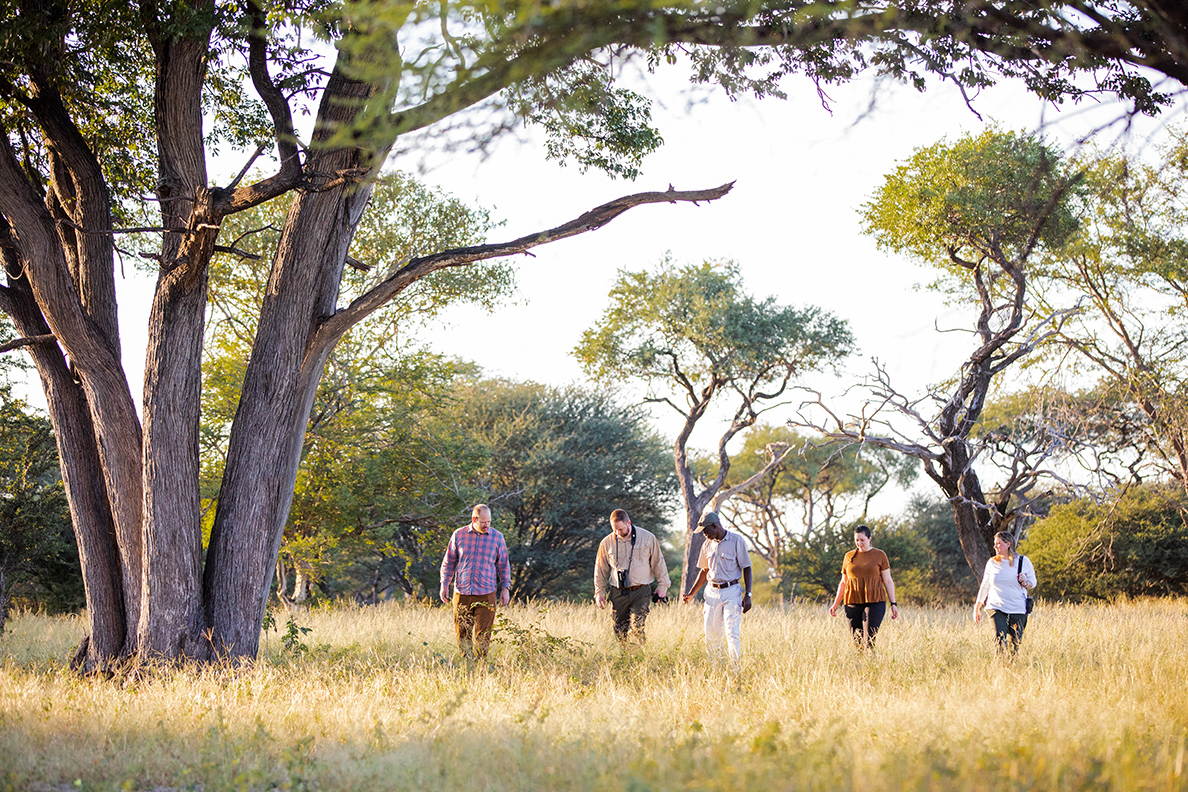 Thamo Telele Lodge - Bush Walk