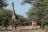 Thamo Telele Lodge