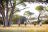 Thamo Telele Lodge - Bush Walk