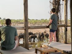 Savute Safari Lodge - Tierbeobachtungen direkt vom Zimmer aus