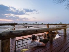 Savute Safari Lodge - Tierbeobachtungen direkt von der Lodge aus