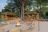 Shinde Footsteps Camp