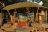 Shinde Footsteps Camp