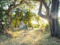 Splash Camp - Bush Walk