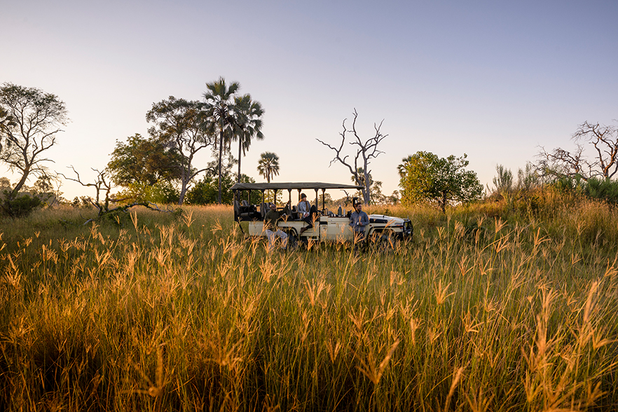 Stanley''s Camp - Game Drive