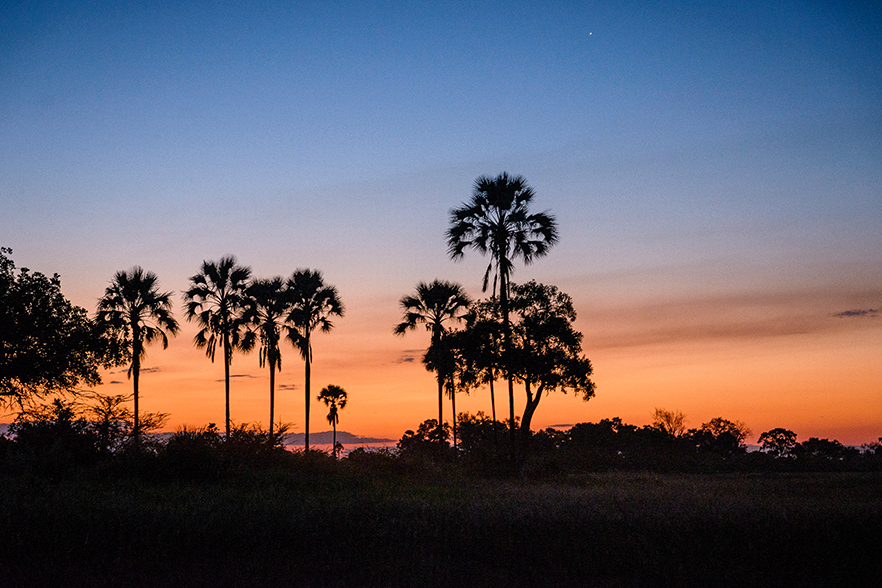 Stanley''s Camp - Sonnenuntergang im Okavango Delta