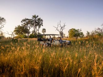Stanley''s Camp - Game Drive Stanley''s Camp - Game Drive