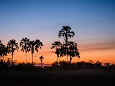 Stanley''s Camp - Sonnenuntergang im Okavango Delta