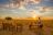 Tau Pan Camp - Sundowner