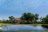 Tawana Camp