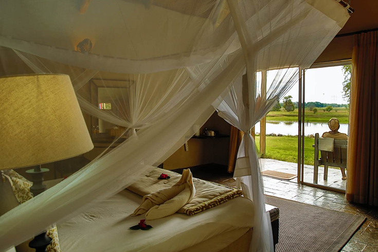 Thamalakane River Lodge - Babbler Zimmer