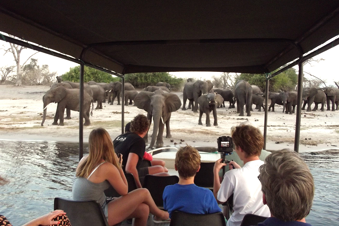 Chobe River Lodge