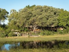 Tubu Tree Camp Tubu Tree Camp