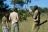 Tubu Tree - Bush Walk Tubu Tree - Bush Walk