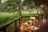Tuli Safari Lodge Mashatu - Tented Suite