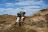Tuli Safari Lodge Mashatu - Bush Walk