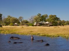 Tuludi Camp - Flusspferde in der Lagune vor dem Camp