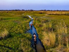 Tuludi Camp - Mokoro Fahrt durch die engen Wasserstrassen des Deltas