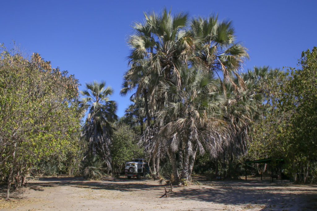 Sedia Hotel - Campsite