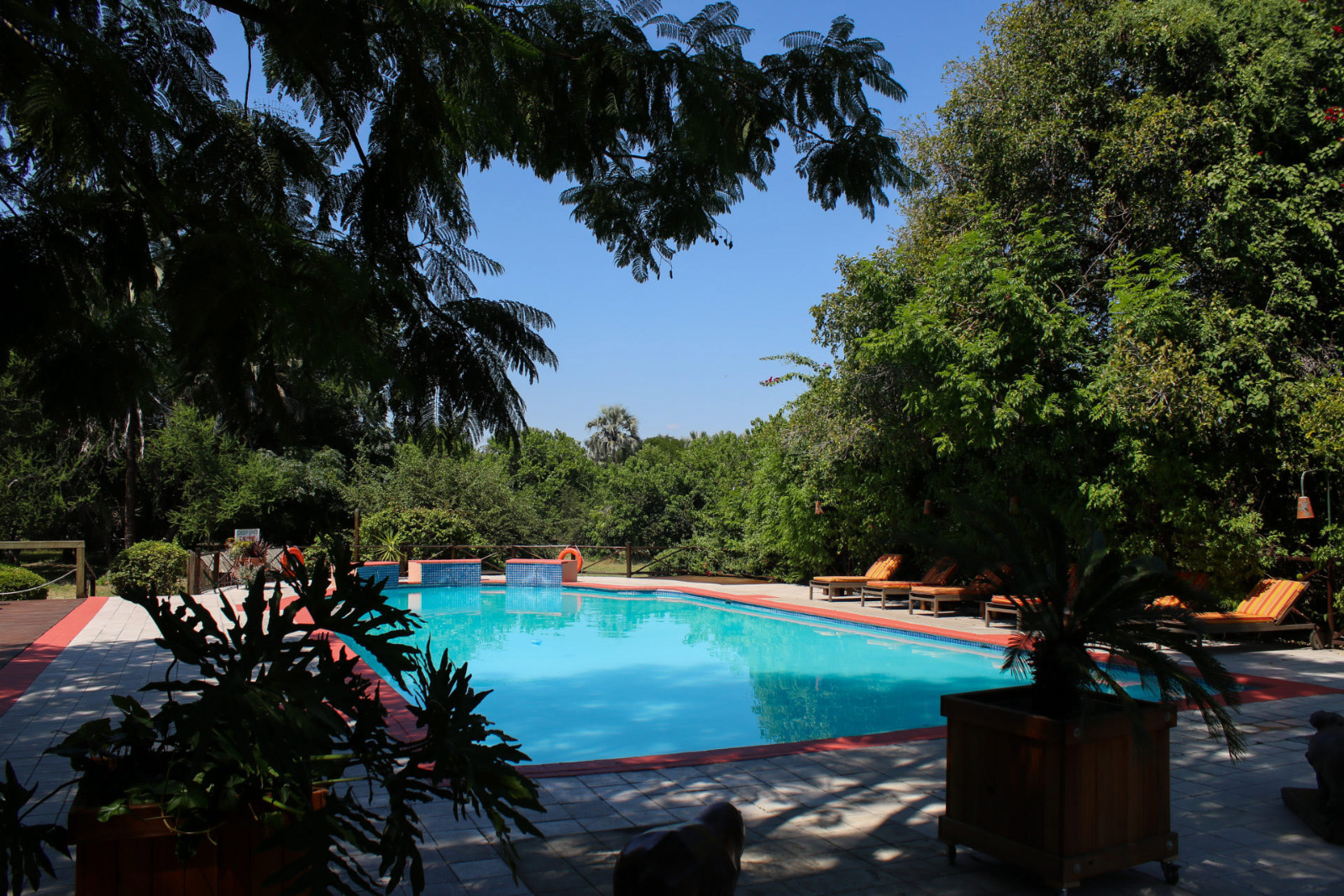 Sedia Hotel - Swimming Pool