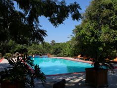Sedia Hotel - Swimming Pool
