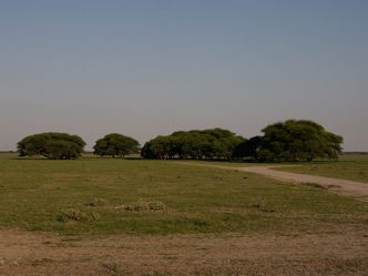 Central Kalahari Game Reserve Central Kalahari Game Reserve
