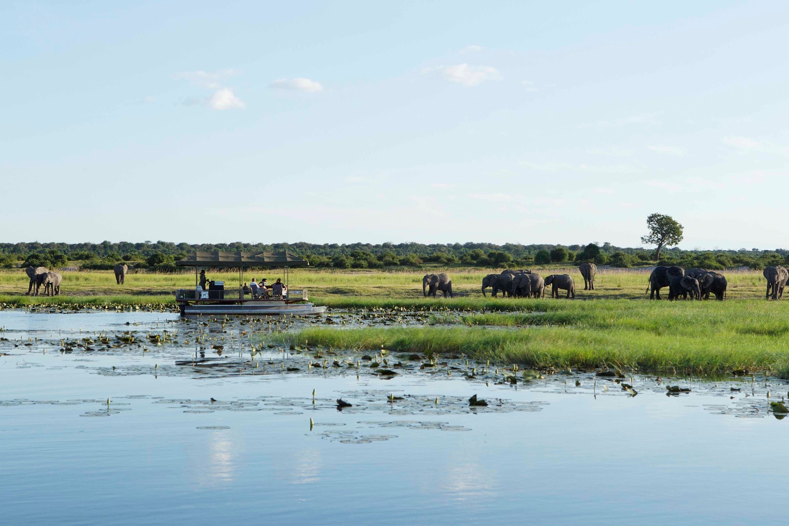 Chobe National Park - per Boot auf Pirschfahrt