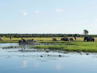 Chobe National Park - per Boot auf Pirschfahrt Chobe National Park - per Boot auf Pirschfahrt