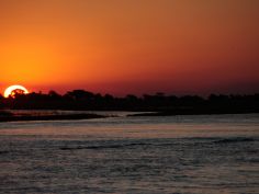 Chobe National Park - romantisches Abendrot