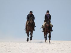 Makgadikgadi Pans National Park, Reiten in der Salzpfanne Makgadikgadi Pans National Park, Reiten in der Salzpfanne