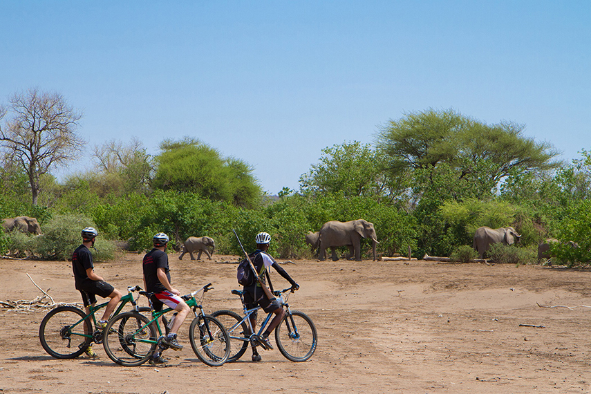 Mashatu Game Reserve, Tuli