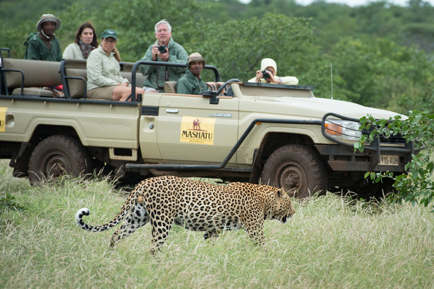 Mashatu Game Reserve, Tuli