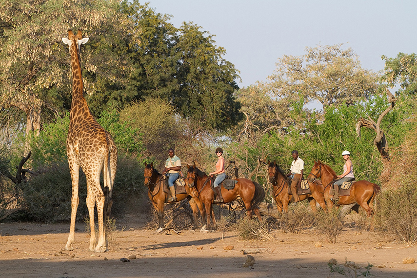 Mashatu Game Reserve, Tuli