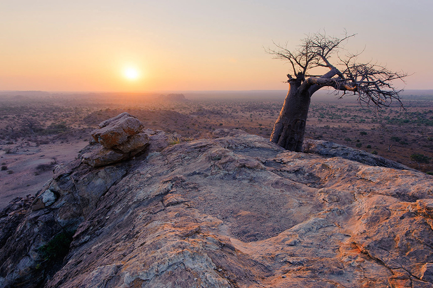 Mashatu Game Reserve, Tuli