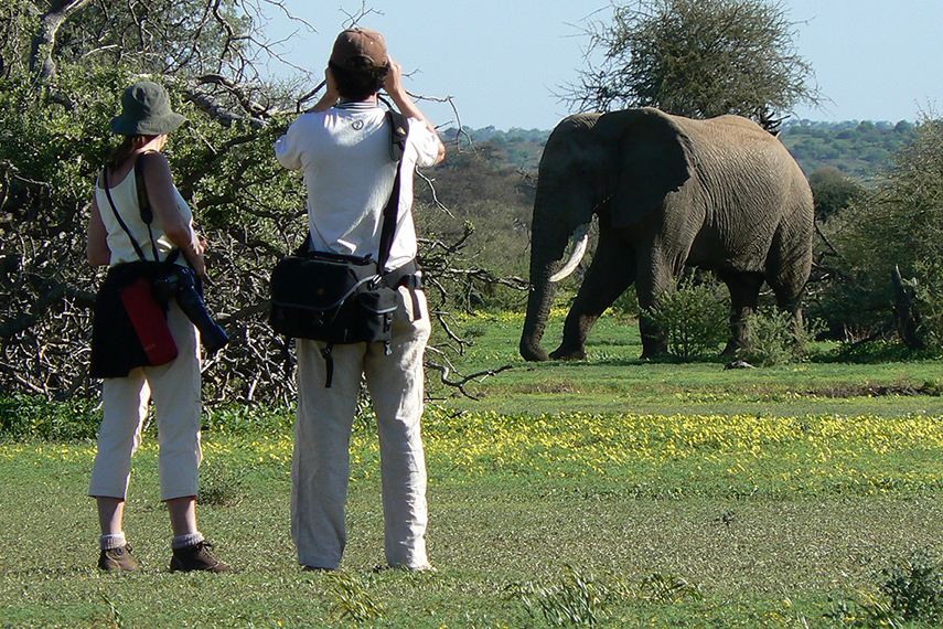 Mashatu Game Reserve, Tuli
